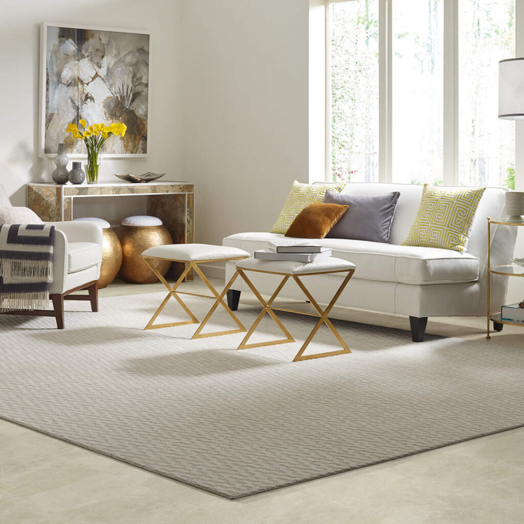 Area Rug | Wilson's Carpet Plus