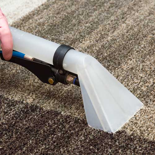Carpet Flooring | Wilson's Carpet Plus