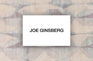 Joe ginsberg